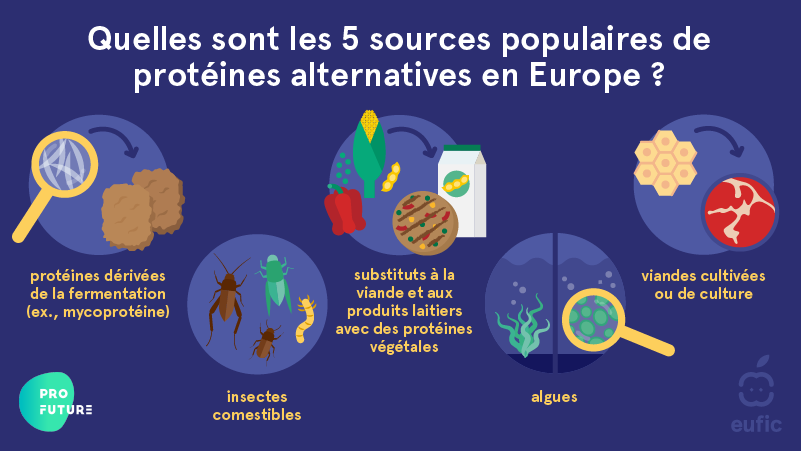 5 sources populaires de protéines alternatives à la viande en Europe