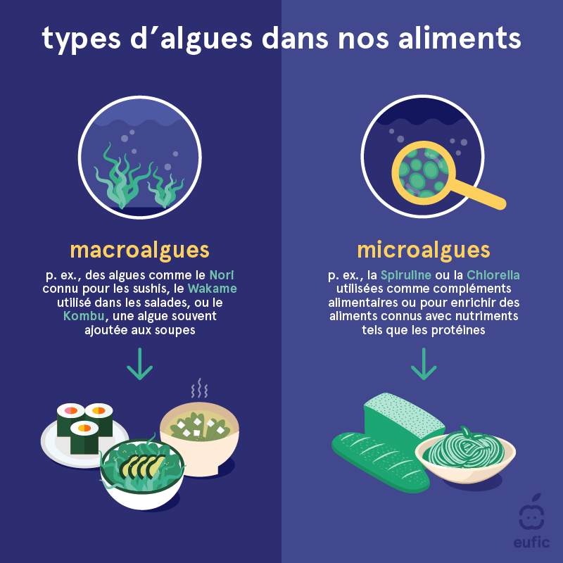 types d'algues dans nos aliments