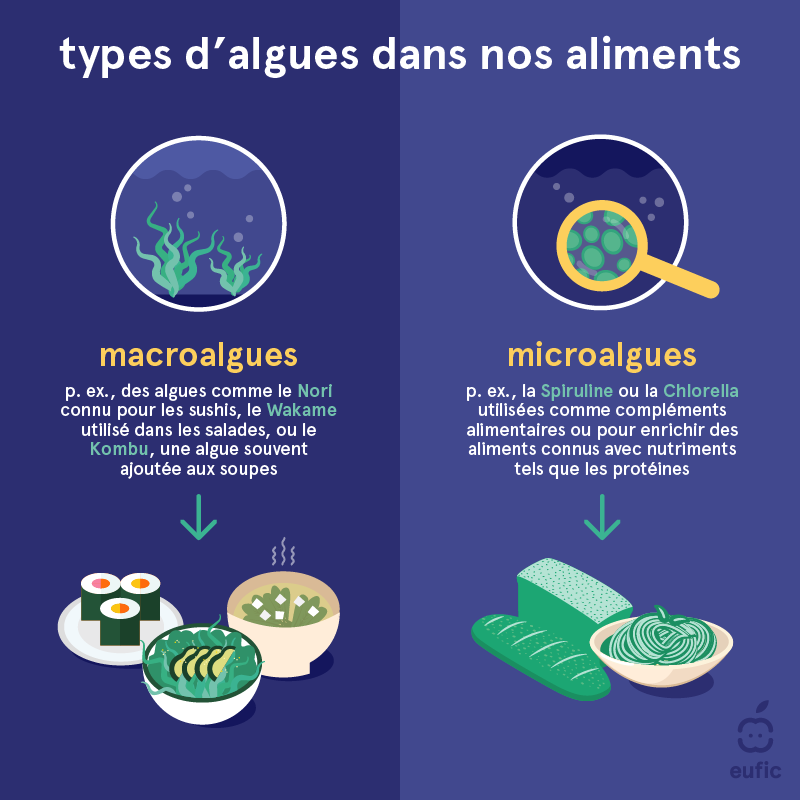 Alimentaire, cosmétiques, médicaments ou biocarburants – les 1001  ressources des algues, Sorbonne Université