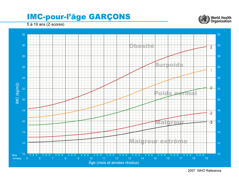 Scores d'obésité pour les garçons âgés de 5 à 19 ans en fonction du rapport entre l'indice de masse corporelle et l'âge