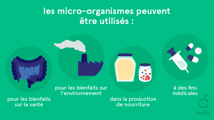 pourquoi les micro-organismes sont utilises