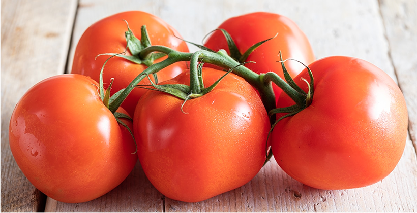 Pomodori: tipologie, proprietà e ricette. Come cucinarli e gustarli al meglio