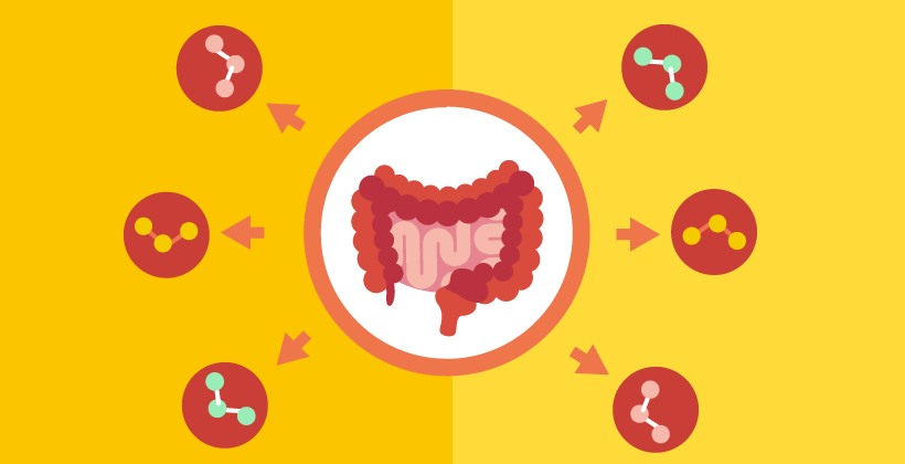 Effetto del microbiota intestinale sulla salute fisica e mentale (MyNewGut)