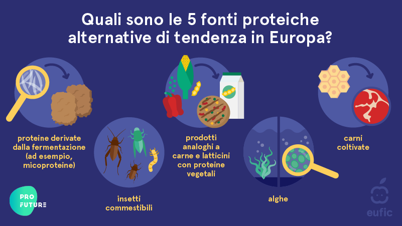 5 fonti proteiche alternative alla carne in Europa