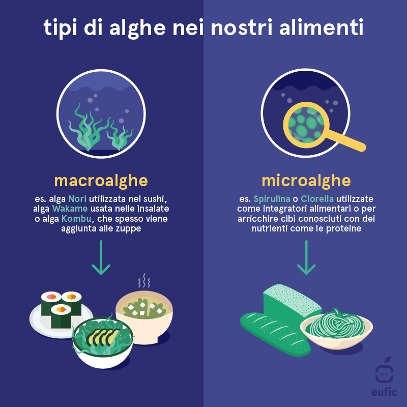 Types of algae in our food