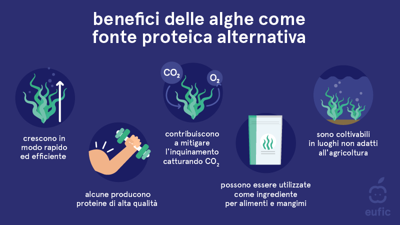 benefici delle alghe come fonte proteica alternativa